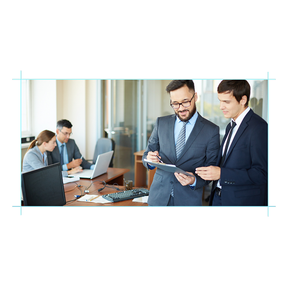 Project Execution